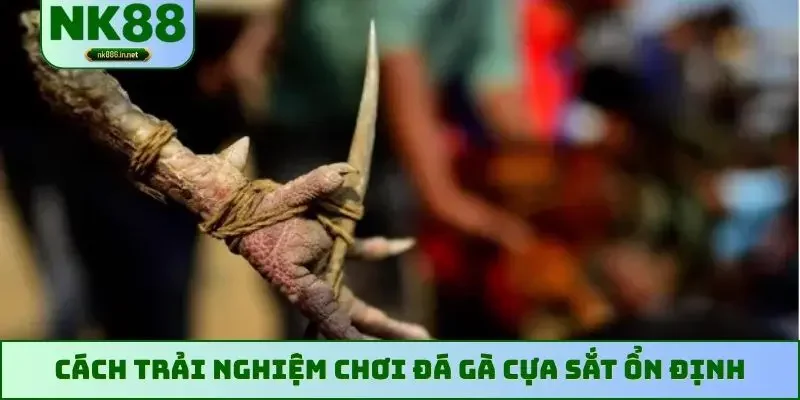 Cách trải nghiệm chơi đá gà cựa sắt ổn định