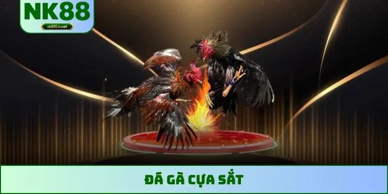 đá gà cựa sắt