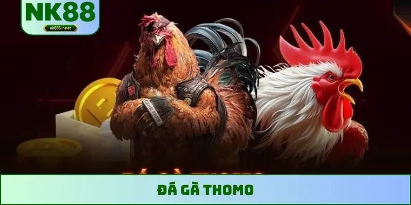 đá gà Thomo