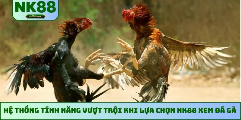Hệ thống tính năng vượt trội khi lựa chọn NK88 xem đá gà
