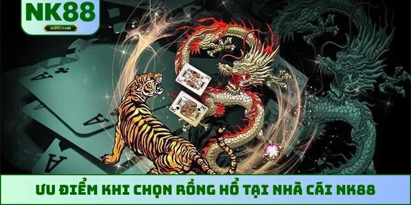 Ưu điểm khi chọn Rồng Hổ tại nhà cái NK88
